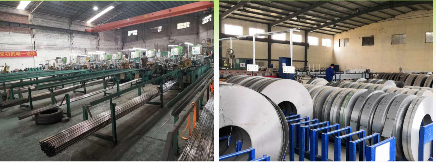Chiny Lief Technology Company Limited profil firmy
